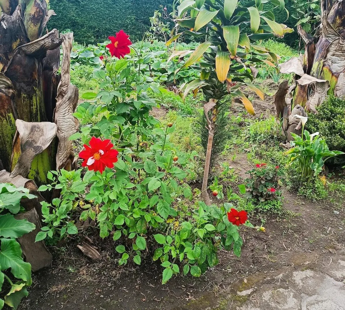 Сasa de vacaciones Casa de Campo El Cabañal Quito