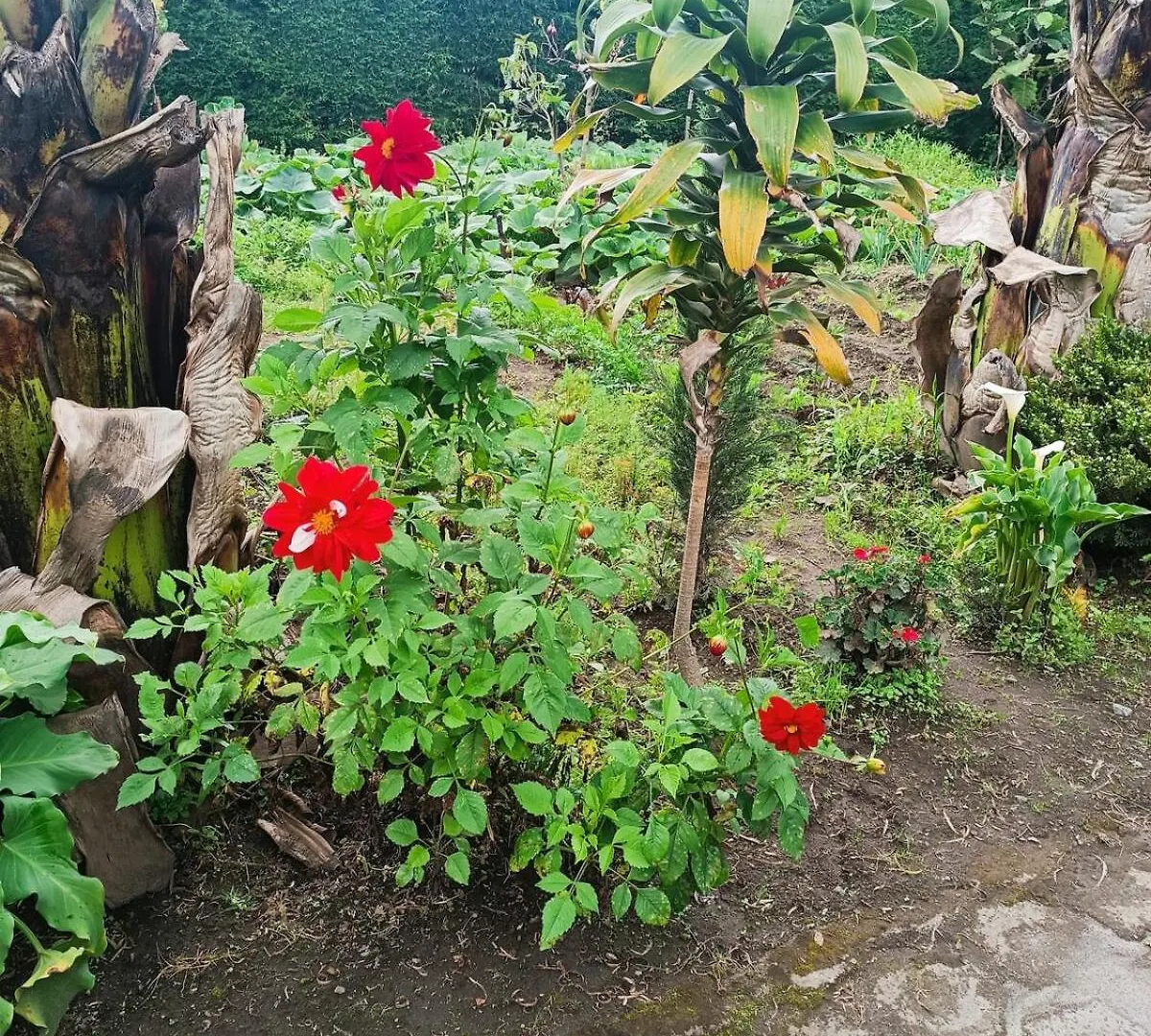 Casa de Campo El Cabañal Quito Ecuador