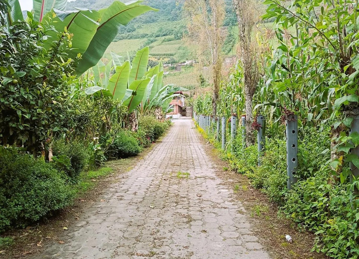 Сasa de vacaciones Casa de Campo El Cabañal Quito